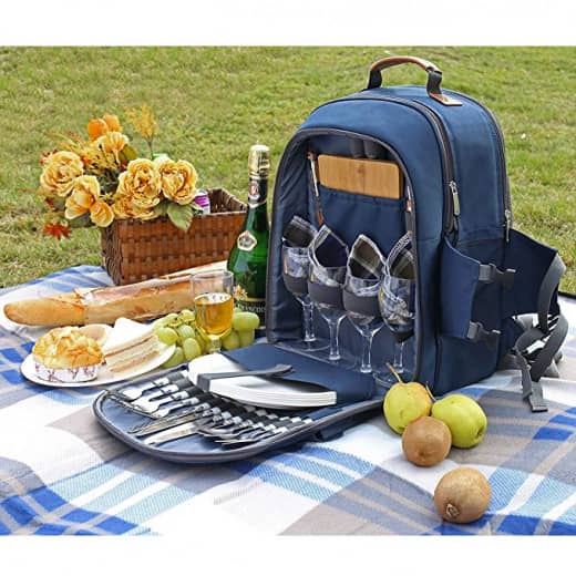 Picnic backpack with some fruits, wine and flowers