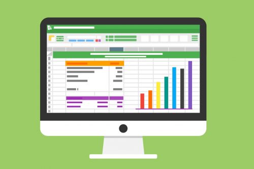 Role of an Excel developer in business